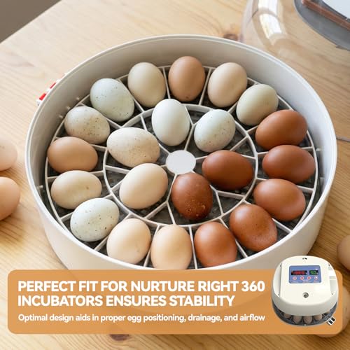 Egg Trays for 22 Medium (Chicken) Eggs - Durable Egg Tray for Nurture Right 360 Egg Incubator