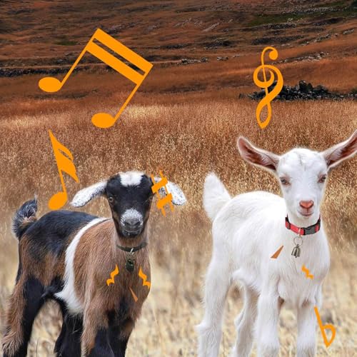 5 Pack Goat Collars Reflective Goat Collars with Grazing Copper Bells and Adjustable Nylon Collar with Anti-Lost Loud Bronze Bell for Farm Animal Goat Sheep Horse Cow(Size:S Neck 12-16") - size: S-Small (Neck 12-16")