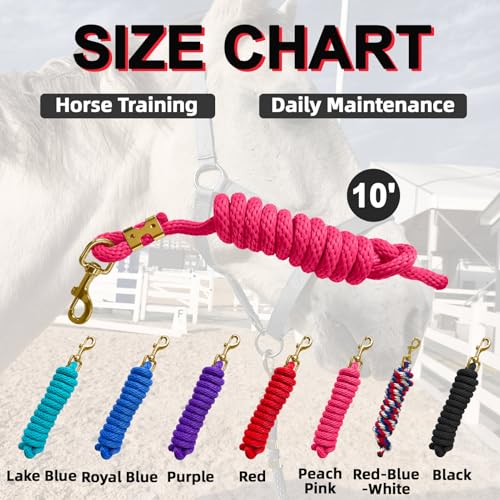 5/8" x 8' Nylon Horse Lead Rope (Peach Pink) | Durable nylon material, cast iron hardware, ideal for daily use, training and showing. - color: Peach Pink