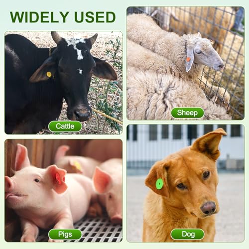 M METERXITY 100-Pack Cattle Ear Tags 001-100 Number, Plastic Round Livestock Tags with 2 Ear Label Needles for Cows/Sheep/Cattle/Pig, Farm Animal Identification Markers [Green] - color: Green