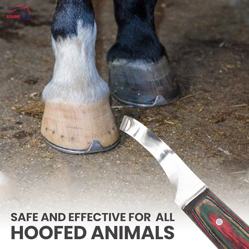 Right-Handed Farrier Hoof Knife, Horses Goats Sheep, Red Handle | Farrier hoof knife for horses, goats, sheep and cattle; J2 stainless steel curved blade; red layered handle. - style: Right-Handed