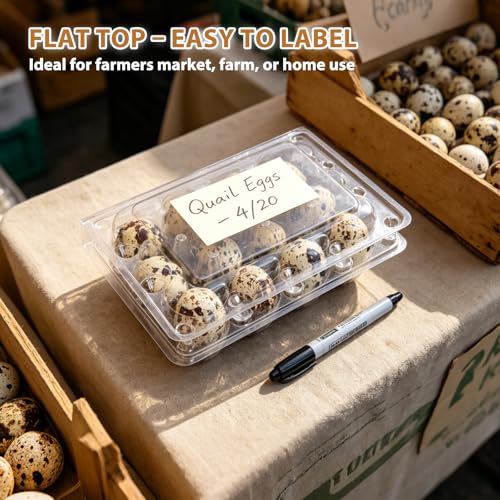 80 Pack Quail Egg Cartons 12 Grid, Heavy Duty Snap Lock Clear Plastic Small Egg Container, Stackable Bulk Tray for Quail Pigeon Button Eggs - Not for Chicken Eggs