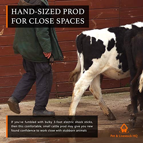 Cattle Prod Handheld - Electric Cattle Prod Livestock - Mini Hand Held Prodder for Sorting Cows Pigs, Goat, Sheep - 4000V Shock & Buzz