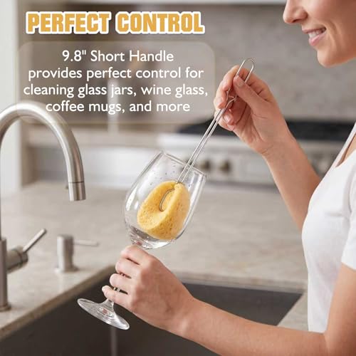 Cellulose Sponge Bottle Brush Set with Long & Short Handles, Non-Scratch Washing Cleaner for Wine Coffee Mug Glass Dishes with 6 Replacement Sponges - style: 2 Handles & 6 Sponges