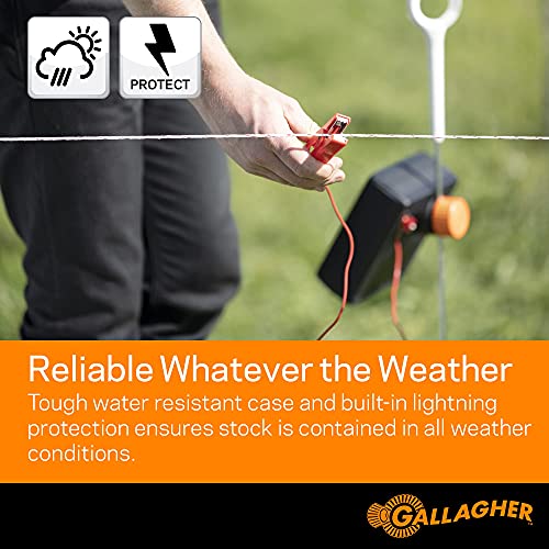 Gallagher S12 Solar Energizer and 1312' Poly Wire Electric Fence Kit for Livestock, Gardens, Orchards, Pets, and More