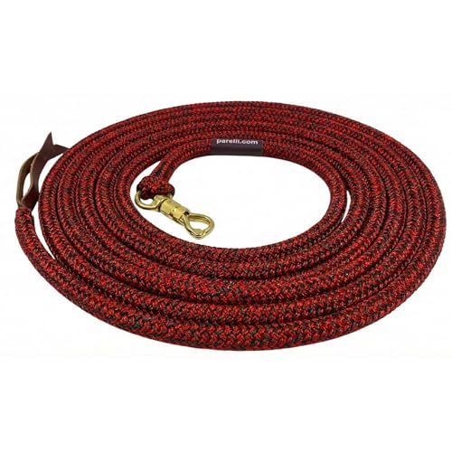 22 Foot Ground Training Rope - Strong Everyday Use All-Purpose Large Horse Lead Rope with Loop & Latigo Popper | 9/16" Diameter Smooth Yachting Braid, Holiday - color: Holiday