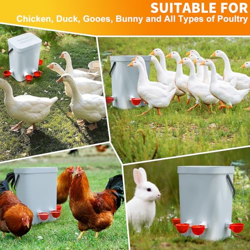 Chicken Water Cups 12 Pack, Automatic Filling Waterer Feeder Bowl, Gravity Poultry Watering System, Chicken Water Dispenser, Chicken Coop Accessories for Hens, Duck, Goose, Turkey (Red) - color: Red 12 cups