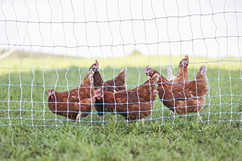 42" x 164' Standard Electric Poultry Netting Kit with A/C Energizer (11/42/3) Electric Chicken Fence Kit for Backyards, Homesteads, and on Farms and Ranches - style: AC Energizer- N1500