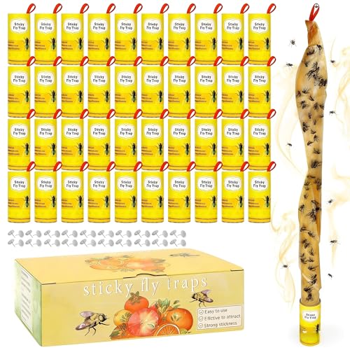 40 Pack Fly Strips Sticky Hanging Fly Trap Indoor Outdoor with Pins | Fly Paper Tape Fruit Fly Gnat Fungus Bug Catcher for Winged Insect & Mosquito for Orchard Farm Home Kitchen - size: 40 pack