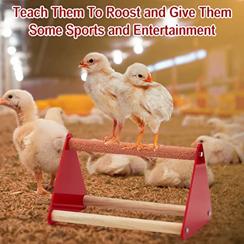 Patelai 7 Pcs Chick Feeder and Waterer Kit Feeding Supplies with Mini Perch Chicken Starter Kit for Coop and Brooder for Small Poultry Ducks Quail