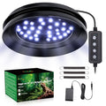 UVB Light for Reptiles with Dimming, LED UVB Light Bulb Fixture for Bearded Dragon Gecko Lizard Turtle Snake, Adjustable Brightness UVA UVB Lamp for Tropical & Desert Reptile Tank Accessories 8W Black - size: 8W-Balck