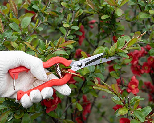 Sanung 2 PACK Multifunctional Thin Fruit Scissors, P-905 Garden Pruner Shears Cutters with Anti-Slip Grip High-Grade Spring Lock Garden Pruner for Garden Fruits Vegetables Plants Flowers