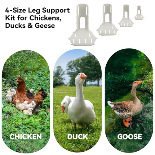 4 Sizes Poultry Leg Support Kit for Chicken, Bird, Duck, Goose