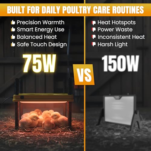 Heating Plate for Chick Brooder Adjustable 75W Chicken Heat Plate 10 x 10 Inch Warmer Brooder Heater for 10-12 Chicks ABC Plastic Material