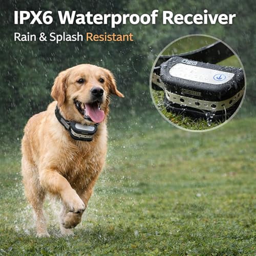 2026 Advanced 2-in-1 Wireless Dog Fence & Dog Training Collar for 2 Dogs, Portable with LCD Display, Adjustable 300M Range & Warning Levels, Rechargeable, Wireless Dog Fence (Black) - color: Black