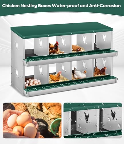 8 Compartment Chicken Nesting Box, Heavy Duty Metal Laying Box with Perch, Easy Assembly & Easy Clean for Outdoor Chicken Coop, Green - color: Green, size: 8 Compartment
