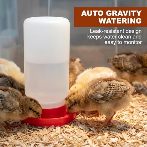 Chick Feeder and Waterer Kit with 2 Chick Perch Roost Bars | Flip Top Poultry Feeder, Chick Brooder Starter Kit, Baby Chicken Supplies for Chicks, Duck and Quail