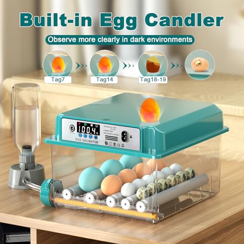 CoInceptus 16 Eggs Incubators for Hatching Eggs, Egg Incubator with Automatic Egg Turning and Temperature Control, Chicken Egg Incubators with Egg Candler for Duck Goose Pigeon Quail - size: 16 Egg