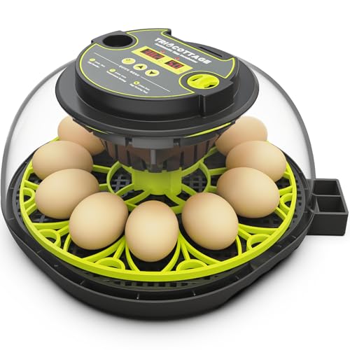 Incubators for Hatching Eggs 12 Egg Incubator with Automatic Egg Turning and Humidity Control,Egg Candler,Auto Water Replenishment,for Chicken Eggs and Quail Egg M12H - color: Green