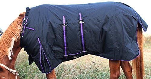Challenger 1200D Turnout Waterproof Horse Heavy Winter Blanket w/Bellyband Purple 565B - color: Black/Purple Trim, size: 66 inches