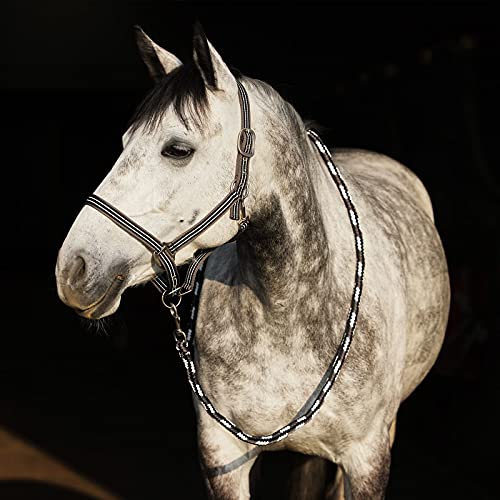 Horze Adepto Soft Durable Polyester 7' Lead Rope with Snap Hook | Horses and Livestock - color: Dark Navy