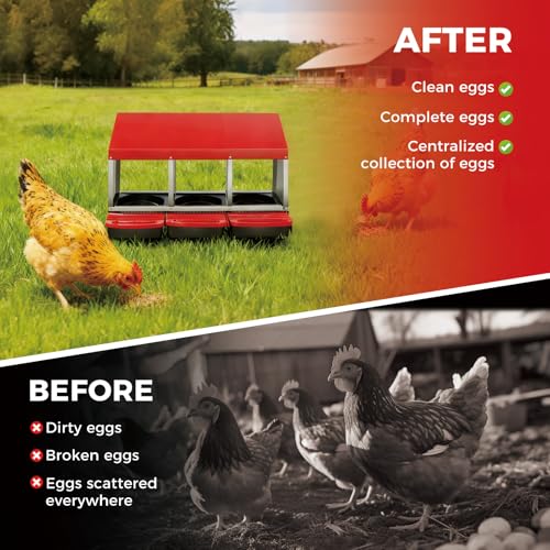 Chicken Nesting Boxes with Cleanable Pull-Out Trays, 3-Hole Wall Mount Roll Away Nest for Easy Cleaning & Egg Collection - size: 3 holes