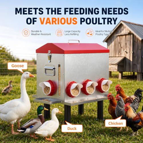 55 LB 10-Gallon Automatic Chicken Feeder, Large Metal Poultry Feeder with Window, 4-Sided No-Waste Feeding Design, Rust-Resistant Steel with Adjustable Legs for Outdoor Coops - size: 55 lb - 8 Ports