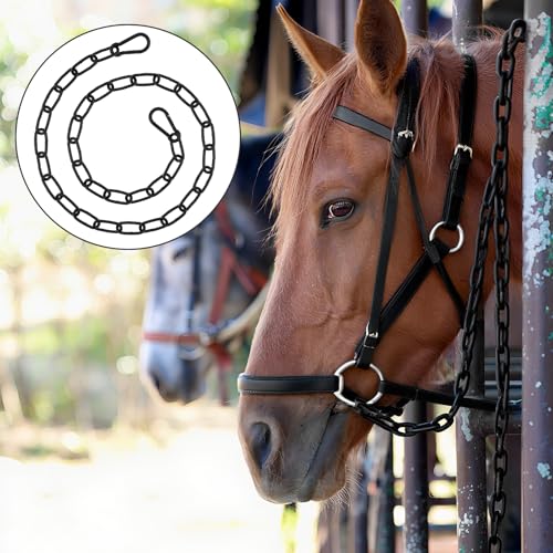39 inch Gate Chain Lock with Both-Ended M5 Carabiners,Chain Dia 4 mm,Black | 304 Stainless steel, for outdoor fence gates,pet cages, easy to lock/unlock, extra security, for gate that wouldn’t stay shut - size: 39" x 5/32"