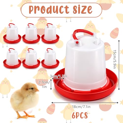 6 Pack Chick Waterer, 1L Poultry Water Feeder Plastic | Poultry Drinker with Handle, Chicken Water Dispenser, Waterer Hanging Poultry Water Container for Chickens Quail