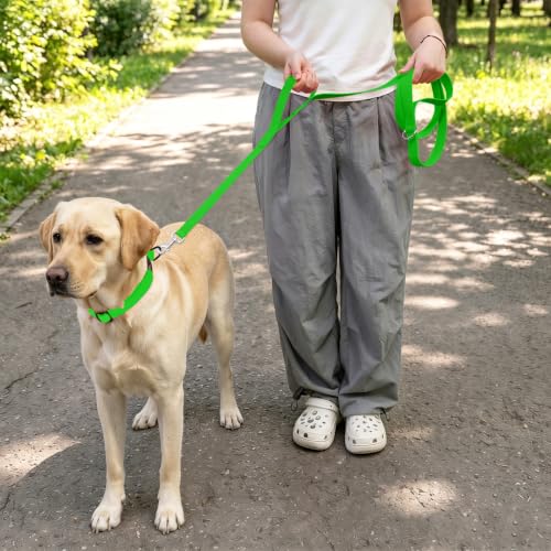 Waterproof Dog Leash with Double Handle, 6 FT Durable Odor-Proof Dog Leashes with Strong Aviation Aluminum Hooks Fits Small Medium or Large Dogs - color: Green, size: 6FT - Double Handle