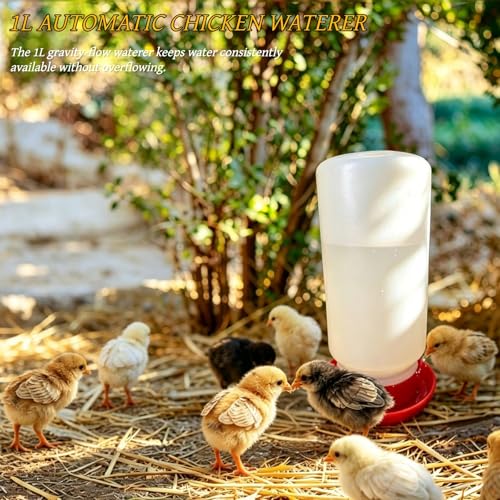 Chick Starter Kit with 75w Heat Lamp, 5-in-1 Baby Chicken Brooder Supplies | Feeder & Waterer Set, Perch with Mirror for Coop Brooder Poultry Chick Duck Quail Bird
