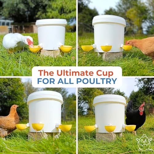 Lil'Clucker - Large Automatic Chicken Waterer Cups Suitable for Ducks, Geese, Turkeys, and Bunny Rabbit - Water Feeder Kit - Poultry Waterer (Yellow, 8 Pack) - color: Yellow, size: 8 Pack
