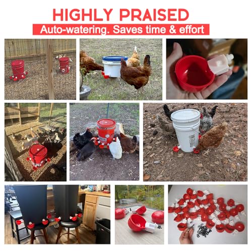 24 Pack Auto Chicken Poultry Waterer Cups Feeder for Diy Chicken Coop Automatic Watering Cup Dispenser Drinker Bebederos De Agua Para Gallinas with Mounting Hole Opener Double Leak-proof Washer - size: 24 Pcs