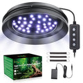 UVB Light for Reptiles with Dimming, LED UVB Light Bulb Fixture for Bearded Dragon Gecko Lizard Turtle Snake, Adjustable Brightness UVA UVB Lamp for Tropical & Desert Reptile Tank Accessories 8W Grey - size: 8W-Grey