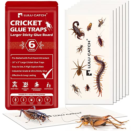 LULUCATCH Cricket Insect Glue Traps - 6 Pack Bug Cockroach Sticky Traps, Large Spider Trap with Pre-Baited Attractant, Highly Effective Glue Boards Indoor, Non-Toxic Pet Safe, Easy to Use - size: 6 Pack