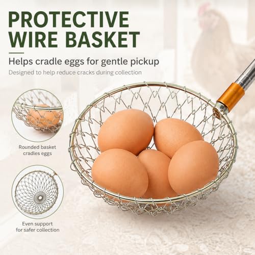 Egg Picker Tool with 15-58.5" Retractable Pole and Metal Wire Mesh Basket | Telescopic Retriever Grabber for Backyard Chicken Keeping, Nesting Box and Farm Use