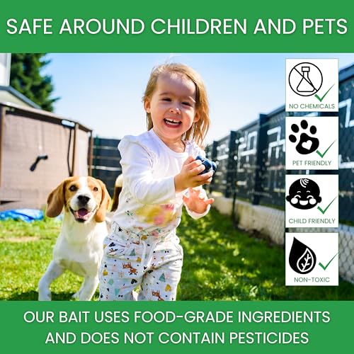 Flybuster Fly Trap | Outdoor Device for Catching Flies | 1-Liter Compact Size (2-Pack) | Comes with Two Flytraps and 2 Bait Packets | 10,000 Fly Capacity | Non-Toxic | Child & Pet Safe