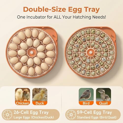 26-59 Egg Incubator,incubators for hatching eggs | AIVoice-Controlled Machine,Temperature & Humidity Control, Built-in Egg Candler, 360° View Clear Lid - color: Orange
