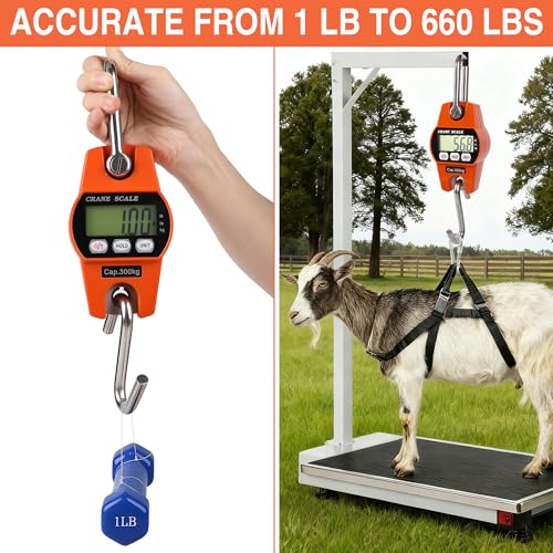 660lb/300kg Digital Crane Scale - Compact LCD Handheld Hanging Scale for Garage, Farm, Hunting, Fishing & More(300kg/Plastic/Orange) - color: 300kg/Plastic Shell/Orange