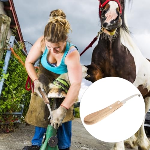 VANZACK 2Pcs Horse Hoof Trimmer Stainless Steel Horseshoe File Tool with Wooden Handle Portable Hoof Repair Tool for Cleaning Uneven Edges and Smoothing Surface