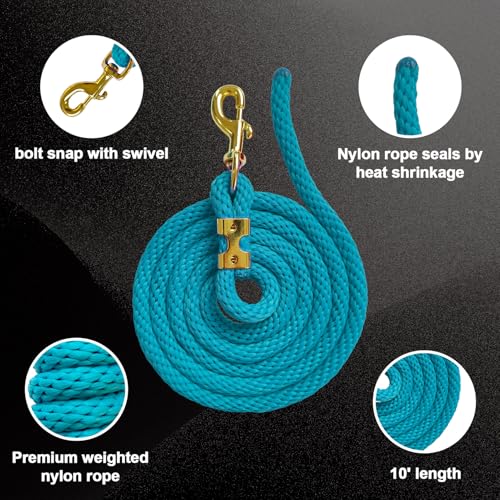 5/8" x 8' Nylon Horse Lead Rope with Cast Iron Hardware(Lake Blue) | Durable nylon material, cast iron hardware, ideal for daily use, training and showing. - color: Lake Blue