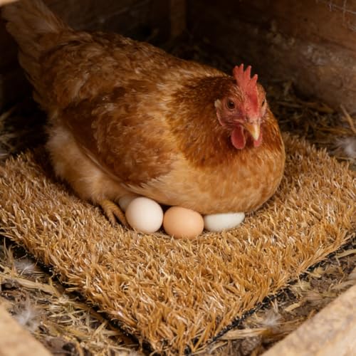 DECHOUS Chicken Nesting Box Pads 6 Pack Washable Reusable Artificial Grass Nesting Mats for Chickens 12.00 X 11.81 X 0.98In Nest Pads for Chicken Nesting Boxes Coop Bedding