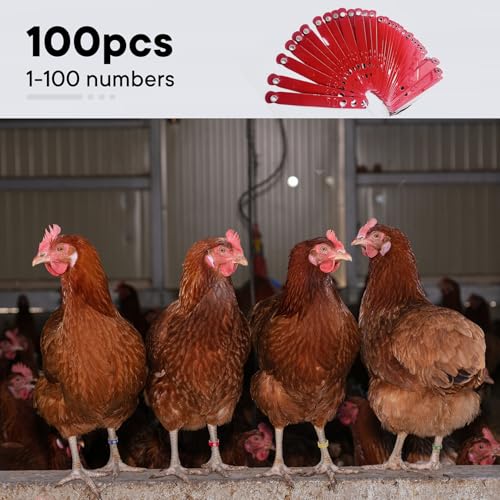 100Pcs Chicken Leg Bands Aluminum Adjustable Poultry Identification Rings | Duck Clip on Leg Rings Chicken Ankle Tags Numbered Feet ID Bands Farms Pheasant Pigeons Goose (Red)