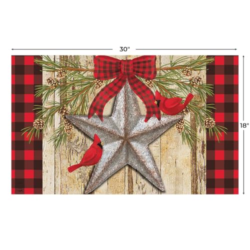 Briarwood Lane Christmas Doormat 30x18 Indoor Outdoor Festive Barnstar Winter for Christmas Doormat