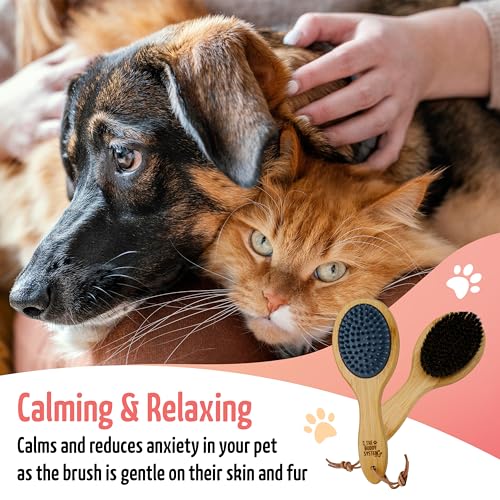 The Buddy System - Combo Bristle Pet Brush, 2-in-1 Brush | Dog & Cat grooming brush with 2 sides for dual capabilities.Durable rubber to losen hair and boar bristle to increase shine.