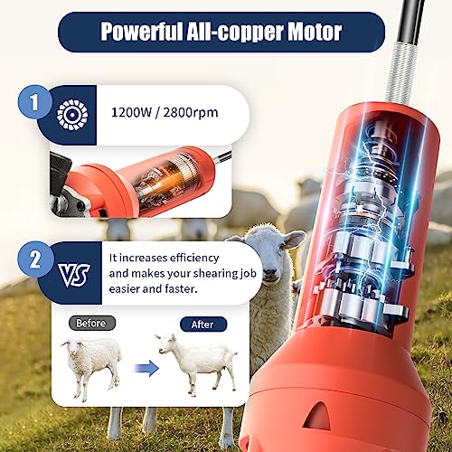 1200W Sheep Shears, Electric Sheep Clipper, 2800RPM Professional Animal Shearing Machine with Carrying Case, Heavy Duty Livestock Haircut for Sheep Alpacas Goats and Thick Coat Animals Haircut