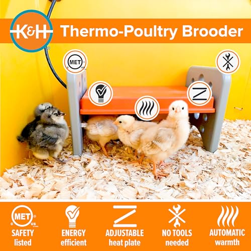 K&H Brooder Plate, Thermo-Poultry Brooder, Safety Listed, Small 25 Watts | Chicken Coop Heater with Safety Light, Adjustable Heat Plate for Chicks, Warms up to 15 Chicks, Gray/Orange - size: Small 13.5 X 8 X 8 Inches