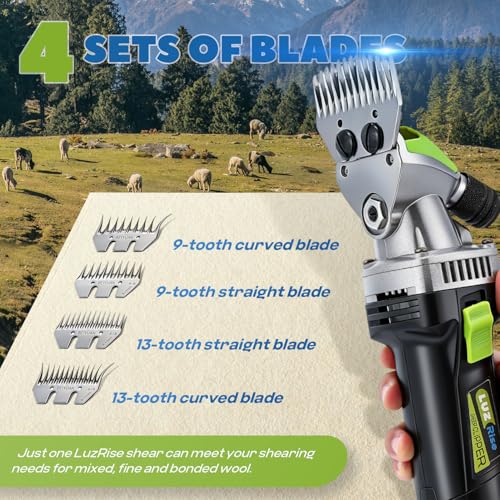 Sheep Shears Professional 850W 2400RPM with 4 Blades, Heavy-Duty | 6-Speed Adjustable, with 4 Blades: 13-Tooth Straight & Curved, 9-Tooth Straight & Curved, Ideal for Thick Coat Animals - size: with 4 Blades