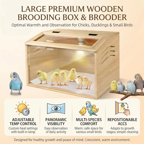 15.74 x 11.81 x 11.81” Chick Brooder Box with Heating Lamp, Poultry Brooder with Heaters, Wooden Brooder Box for Baby Chicks, Ducks, Quail and Birds