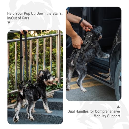 OneTigris Dog Lift Harness for Small Dogs XS, Dog Sling Carrier for Small Dogs, Full Body Lift Harness with Reflective Straps, Dog Support Harness for Back Legs - color: Black, size: Small